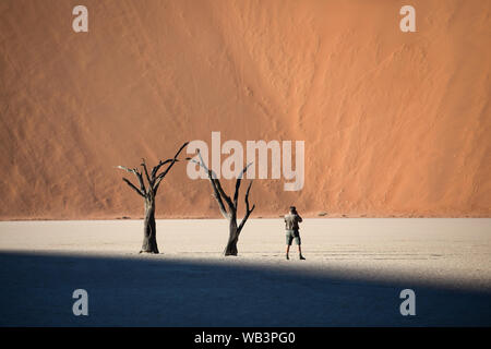 Acacias morts casting shadows au lever du soleil, dans les zones arides Deadvlei pan. Sossusvlei, Namibie. Banque D'Images