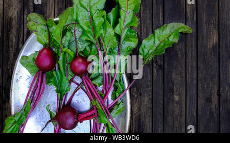 Betteraves fraîches sur une table en bois sombre arrière-plan. Nettoyer les légumes lavés sur une plaque de métal Banque D'Images