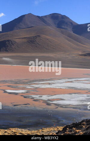 Salar de Uyuni, au milieu de la Cordillère des Andes dans le sud-ouest de la bolivie Banque D'Images