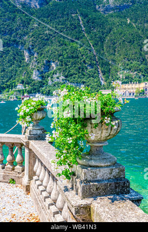 Géraniums à Riva del Garda en Italie sur le lac de Garde Banque D'Images