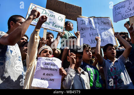 Srinagar, Inde. Août 23, 2019. Le chant des manifestants au Cachemire en maintenant les slogans des pancartes pendant le rallye.Un rassemblement a eu lieu à Srinagar ville suite à la décision prise par le gouvernement central d'abolir l'article 370 qui accorde un statut spécial à Jammu-et-Cachemire. Credit : SOPA/Alamy Images Limited Live News Banque D'Images