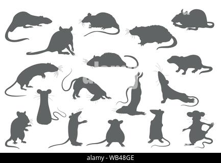 Les rats différents collection. Pose de rat et d'exercices. Cute cartoon jeu clipart. Vector illustration Illustration de Vecteur