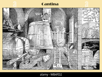 Cave à vin italienne avec rangée de barils, appuyez sur et bouteilles, illustré d'une image lexique italien du XIXE siècle Banque D'Images