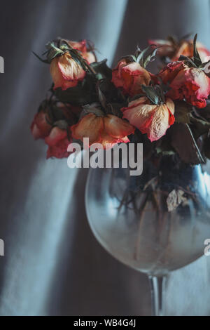 Shot artistique des coral pink roses dans un verre de vin couvertes de poussière floue sur fond gris Banque D'Images
