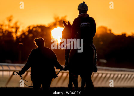 24 août 2019, Saratoga Springs, NY, USA : le 24 août 2019 : chevaux exercice sur la piste de formation Oklahoma le matin de travers Stakes journée à l'Hippodrome de Saratoga Saratoga Springs, New York. Scott Serio/Eclipse/CSM Sportswire Banque D'Images