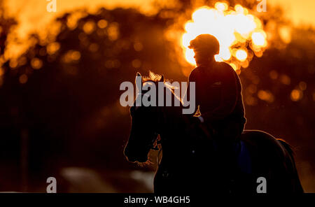 24 août 2019, Saratoga Springs, NY, USA : le 24 août 2019 : chevaux exercice sur la piste de formation Oklahoma le matin de travers Stakes journée à l'Hippodrome de Saratoga Saratoga Springs, New York. Scott Serio/Eclipse/CSM Sportswire Banque D'Images