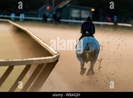 24 août 2019, Saratoga Springs, NY, USA : le 24 août 2019 : chevaux exercice sur la piste de formation Oklahoma le matin de travers Stakes journée à l'Hippodrome de Saratoga Saratoga Springs, New York. Scott Serio/Eclipse/CSM Sportswire Banque D'Images