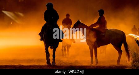 24 août 2019, Saratoga Springs, NY, USA : le 24 août 2019 : chevaux exercice sur la piste de formation Oklahoma le matin de travers Stakes journée à l'Hippodrome de Saratoga Saratoga Springs, New York. Scott Serio/Eclipse/CSM Sportswire Banque D'Images