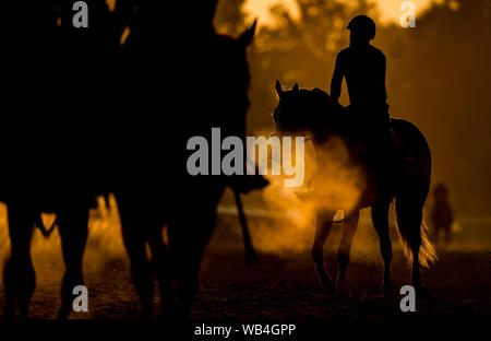 24 août 2019, Saratoga Springs, NY, USA : le 24 août 2019 : chevaux exercice sur la piste de formation Oklahoma le matin de travers Stakes journée à l'Hippodrome de Saratoga Saratoga Springs, New York. Scott Serio/Eclipse/CSM Sportswire Banque D'Images