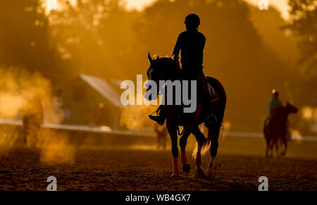 24 août 2019, Saratoga Springs, NY, USA : le 24 août 2019 : chevaux exercice sur la piste de formation Oklahoma le matin de travers Stakes journée à l'Hippodrome de Saratoga Saratoga Springs, New York. Scott Serio/Eclipse/CSM Sportswire Banque D'Images