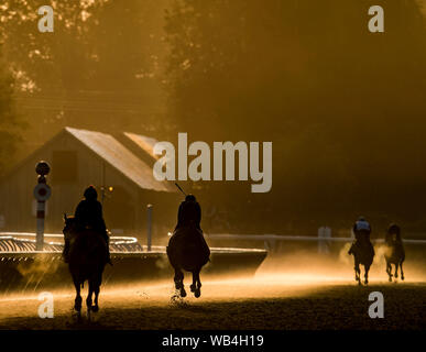 24 août 2019, Saratoga Springs, NY, USA : le 24 août 2019 : chevaux exercice sur la piste de formation Oklahoma le matin de travers Stakes journée à l'Hippodrome de Saratoga Saratoga Springs, New York. Scott Serio/Eclipse/CSM Sportswire Banque D'Images