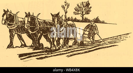 1930 - Un croquis d'un agriculteur labourant à la main avec l'aide de 3 chevaux Banque D'Images