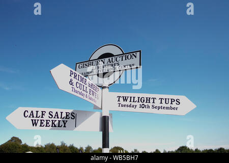 Chipping, Lancashire. Météo britannique. Météo France. ; chaude journée d'été dans la région de Central Lancashire pour l'agriculture et de l'écaillage. Gusburn maison de ventes ventes de bétail publicité signe. Indicateur/AlamyLiveNews Crédit : Banque D'Images