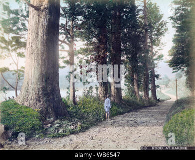 [ 1890 - Japon Hakone Road ] - un homme portant un hanten se trouve près de l'entrée de la route à Hakone cryptomeria (箱根), préfecture de Kanagawa. C'est l'ancienne route d'Hakone près de la porte d'Ichinotorii à Moto-Hakone. À travers les arbres Lac Ashinoko (芦ノ湖) est visible. Le lac est dans la caldeira du Mont Hakone. Il est devenu le symbole de Hakone. Hakone-juku (箱根宿) était le dixième de la cinquante-trois stations du Tokaido. 19e siècle vintage albumen photo. Banque D'Images