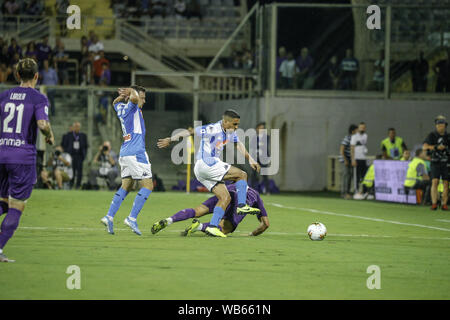 Florence, Italie. Août 24, 2019. Italie - au stade Artemio Franchi de Florence Naples bat la Fiorentina 3 à 4 visant ainsi à la première place de la première journée du championnat.Dans l'image de la SSC Naples soccer.Allan (Image Crédit : © Fabio SassoZUMA Wire) Credit : ZUMA Press, Inc./Alamy Live News Banque D'Images