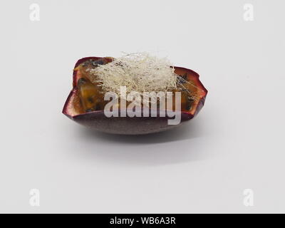 Londres, Royaume-Uni - 2019 – Thé De L'Après-Midi - Cours De Dessert – Gelée De Fruits De La Passion Surmontée De Sucrerie Banque D'Images