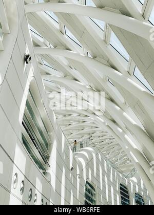 Beijing, Chine. Août 23, 2019. Photo Mobile montre les touristes visitant le bâtiment de Phoenix Centre à Beijing, capitale de la Chine, 23 août 2019. Credit : Cui Bowen/Xinhua/Alamy Live News Banque D'Images