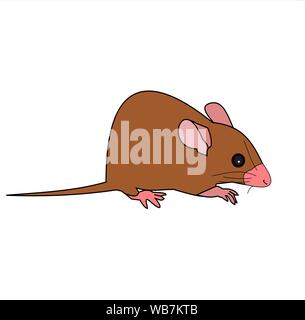 Isoler de rat sur fond blanc, la souris est les rongeurs qui causent la saleté et peuvent être porteurs de maladies, de la brown souris avec le nez et la queue de couleur rose Illustration de Vecteur