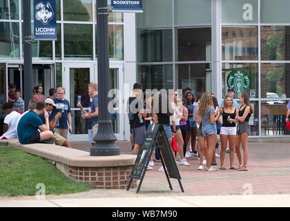 Storrs, CT USA. Aug 2019. College coeds relaxing and socializing at la librairie campus avant le début d'une nouvelle année scolaire. Banque D'Images