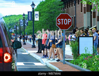 Storrs, CT USA. Aug 2019. Les étudiants en attente de traverser une intersection campus déjà occupés pendant le début d'une nouvelle année scolaire. Banque D'Images