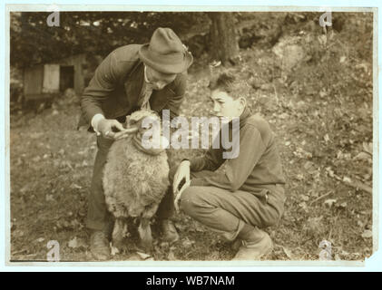 Forest Kellison, membre du Club 4 H traiter ses brebis pour les parasites internes, sous la direction de Harold Willey, Farm Bureau de l'Agent. 250 de ces club garçons et filles dans le comté. (Voir Photo n°87). Résumé : des photographies sur les dossiers de la Commission nationale sur le travail des enfants (États-Unis) Banque D'Images