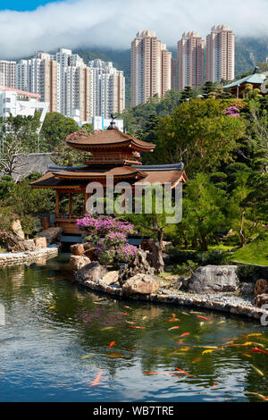 Pavillon en bois traditionnel à l'étang à poissons à Nan Lian Garden, un jardin classique chinois. Diamond Hill, Kowloon, Hong Kong, Chine. Banque D'Images