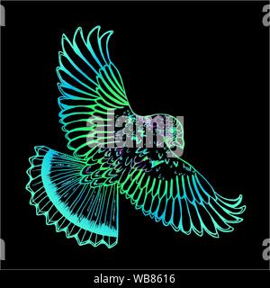 Dessin en couleur d'un aigle. Oiseau en vol Illustration de Vecteur