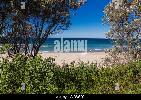 Vue générale de la plage de Mollymook, Ulladulla, NSW Australie. Banque D'Images