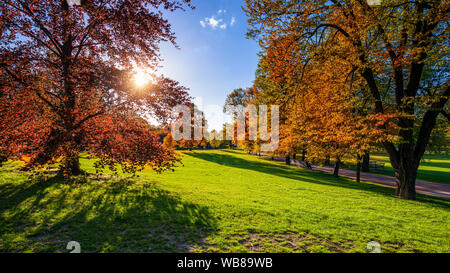 En vue de l'automne, Parc Letna Prague, République tchèque. L'automne à Prague (Praha), beau parc Letna (Letenske sady) dans la lumière du soleil, du paysage ensoleillé, popula Banque D'Images