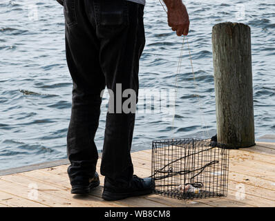 Un homme s'apprête à lancer ses casiers à crabes dans l'eau hors d'une jetée en bois. Banque D'Images