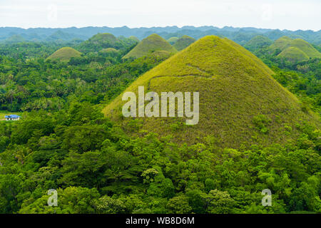 Le célèbre paysage de collines de chocolat de Bohol Banque D'Images