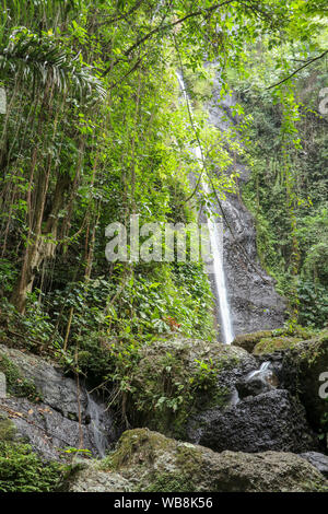 Jungle tropicale se cachant une cascade Yeh Labuh. D'énormes morceaux de rock de tomber dans une rivière lit en face d'une cascade. Des rochers couverts de mousse. Banque D'Images