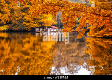Belle maison dans l'automne Banque D'Images