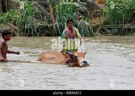 Manikganj, Bangladesh - Juillet 24, 2019 : la vie quotidienne des villageois à Ghior à Manikganj, au Bangladesh. Banque D'Images