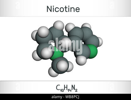 Molécule de la nicotine, alcaloïde , est trouvé dans la famille de plantes. Molécule modèle. Illustration, rendu 3D Banque D'Images