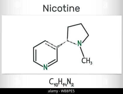 Molécule de la nicotine, alcaloïde , est trouvé dans la famille de plantes. Formule chimique structurels. Vector illustration Illustration de Vecteur