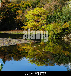 Paysage idyllique et calme d'un lac de Ryoan-ji avec de superbes reflets dans l'eau, Kyoto au Japon Banque D'Images