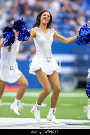 24 août 2019 - Indianapolis Colts cheerleader effectue au cours de la saison de football américain NFL action de jeu entre les ours de Chicago et les Indianapolis Colts au Lucas Oil Stadium à Indianapolis, Indiana. Chicago a battu Indianapolis poignéés 27 17/32 po. John Mersits/CSM. Banque D'Images
