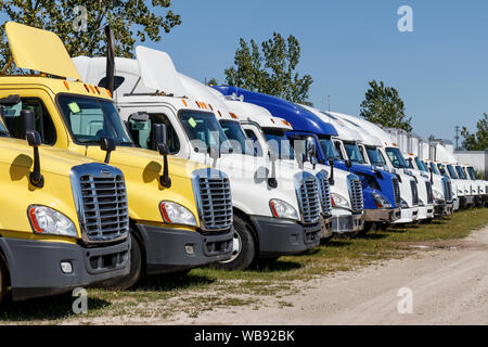 Circa 2019 Zionsville - Août : Freightliner et semi remorque Tracteur Volvo Trucks alignés pour la vente. Freightliner est administré par Daimler VIII Banque D'Images