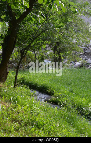 Un ruisseau qui coule à travers un verger dans Nurataou montagnes, l'Ouzbékistan central Banque D'Images