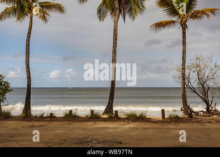 La plage de Les salines près de Sainte Anne, Martinique. Banque D'Images