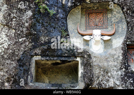 Forgé ancienne tombe dans la roche en Indonésie dans le Tana Toraja décoré avec de la tête du taureau Banque D'Images