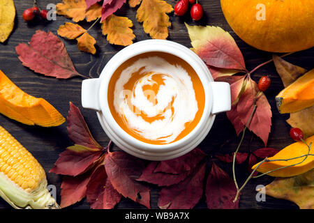 Soupe de potiron avec les feuilles d'automne à sec Banque D'Images