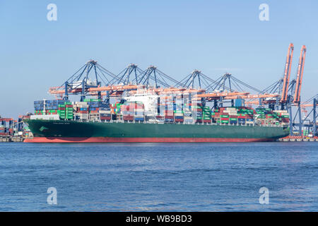 DOXA THALLASA amarré au terminal Euromax, Rotterdam. Un Thalassa-Hellas THALLASA DOXA est class cum-conteneurs d'une capacité de 13,800 EVP. Banque D'Images