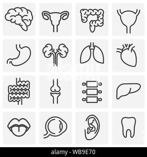 Les icônes d'organes mis sur arrière-plan de conception graphique et web. Simple illustration. Concept Internet symbole de bouton site web ou mobile app Illustration de Vecteur