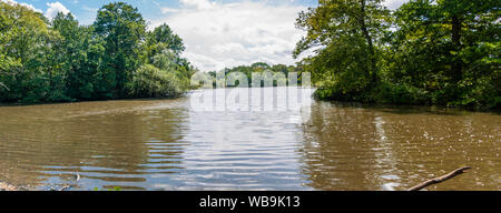 Essex, Angleterre, Royaume-Uni - 17 août 2019 : Connaught de l'eau, la Forêt d'Epping, Essex, Angleterre, RU Banque D'Images