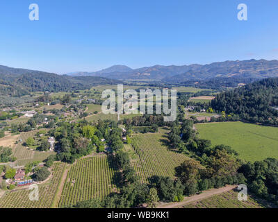 Vue aérienne de la Vigne à Napa Valley. Le Comté de Napa, dans la région viticole de la Californie. Paysage de vignes. Banque D'Images