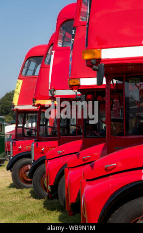 Hailsham, East Sussex UK. 25 août 2019. Festival des transports. Automobiles, moteurs à vapeur, un mélange de véhicules de tourisme à ce jour férié. Banque D'Images