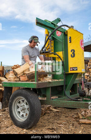 Sheffield, Canterbury, Nouvelle-Zélande, le 22 août 2019 : Un homme utilise un embauché de couper du bois joints de bluegum bois à utiliser pour le bois de chauffage Banque D'Images