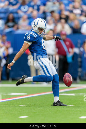 24 août 2019 - Indianapolis Colts punter Rigoberto Sanchez (8) au cours de la saison de football américain NFL action de jeu entre les ours de Chicago et les Indianapolis Colts au Lucas Oil Stadium à Indianapolis, Indiana. Chicago a battu Indianapolis poignéés 27 17/32 po. John Mersits/CSM. Banque D'Images